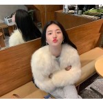 Faux Fur Coat 2023 Autumn/Winter Coat Women New High Imitation Fox Fur Fake Fur Short Coat Korean Fashion Women Jacket