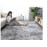 Gray Carpet for Living Room Plush Rug Bed Room Floor Fluffy Mats Anti-slip Home Decor Rugs Soft Velvet Carpets Kids Room Blanket